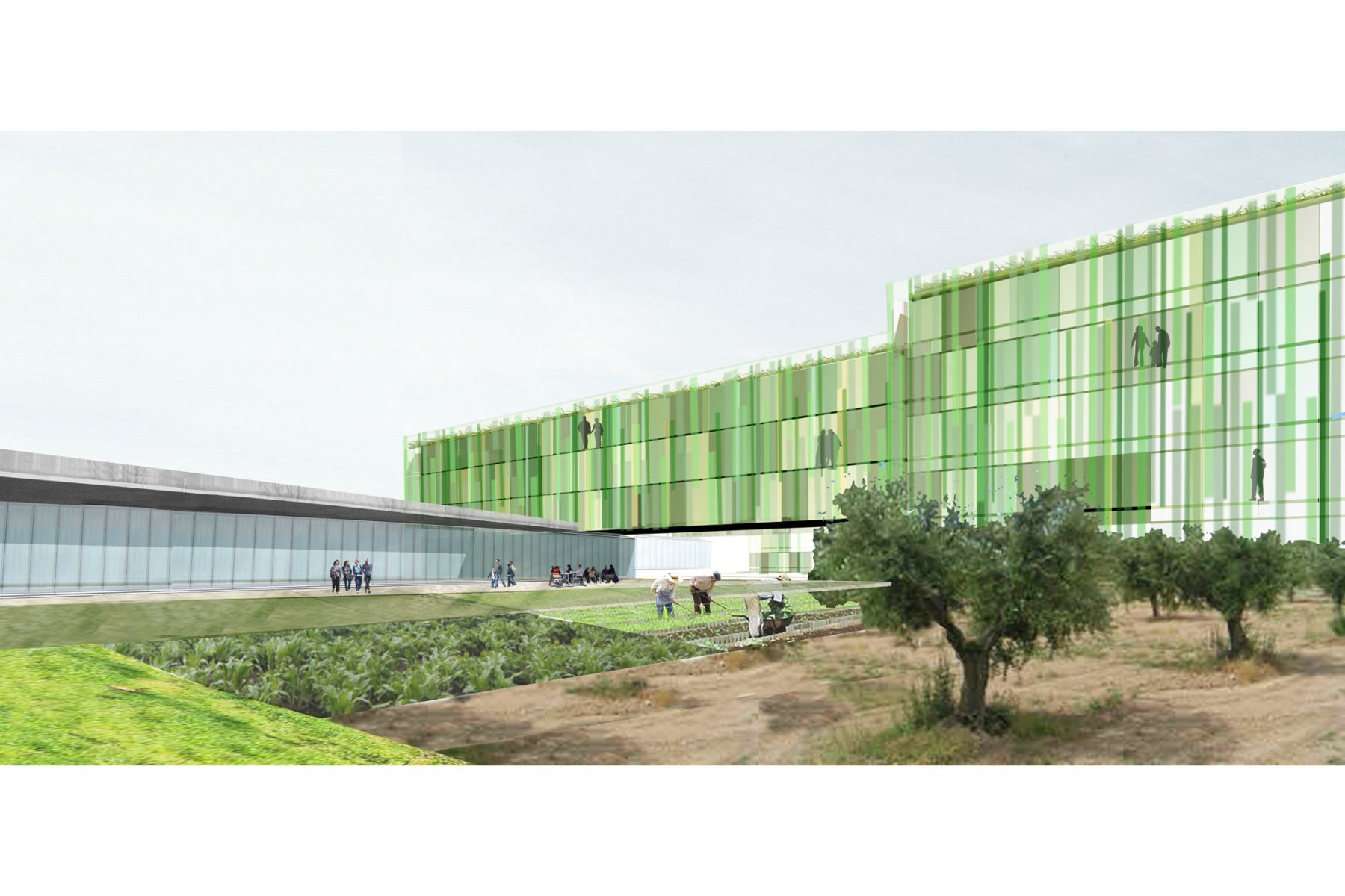 Habitatges d’elevada eficiència energètica | ESPAIROUX Arquitectura